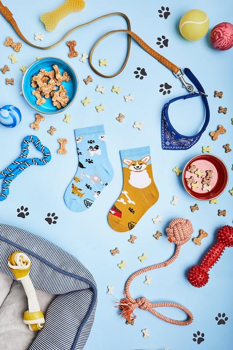 Image du produit Many Mornings Playful Dog (Chien joueur) (Une unité par pack, 27 - 30)
