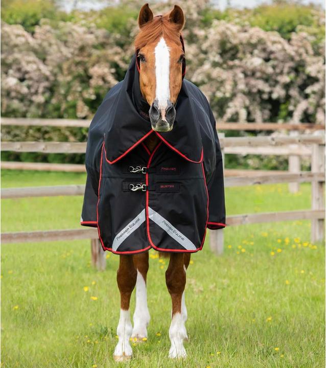 Actual product image Premier Equine Buster 250 g (213 cm)