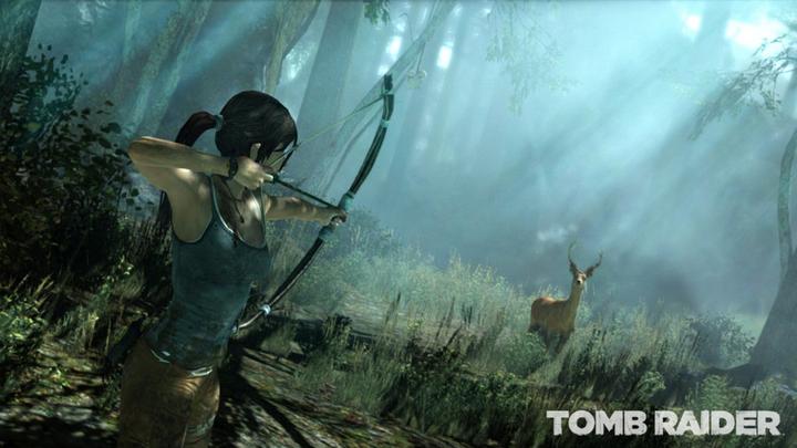 Image du produit Square Enix Tomb Raider Essentials, PS3 Deluxe PlayStation 3 (PS3, EN)