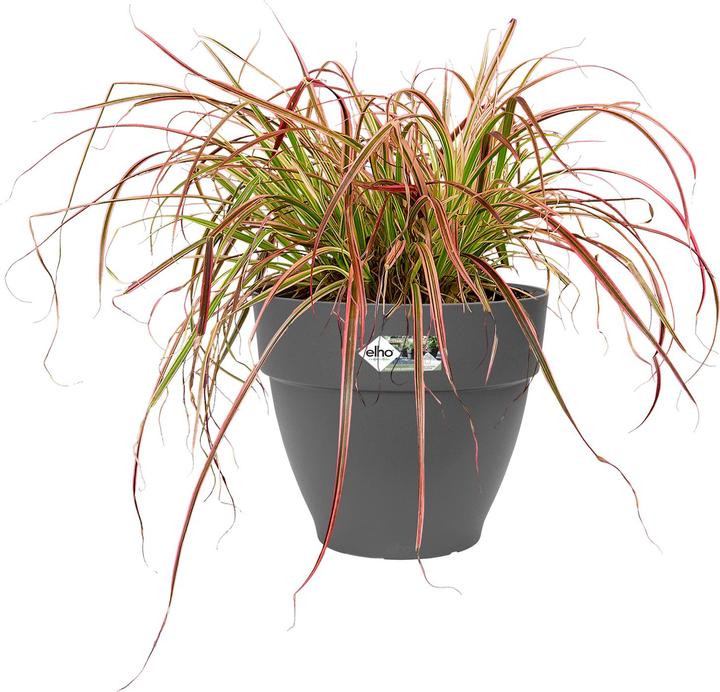 Actual product image Elho Pflanztopf Vibia Campana 55 cm anthrazit (54.50 cm)