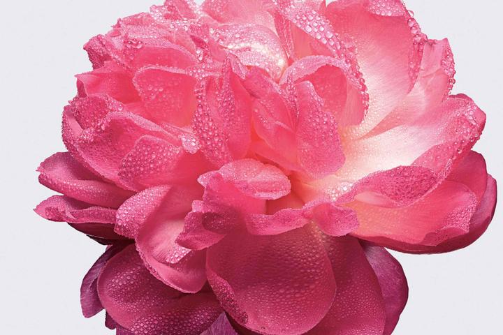 Image du produit Dior Absolutely Blooming (Eau de parfum, 50 ml)