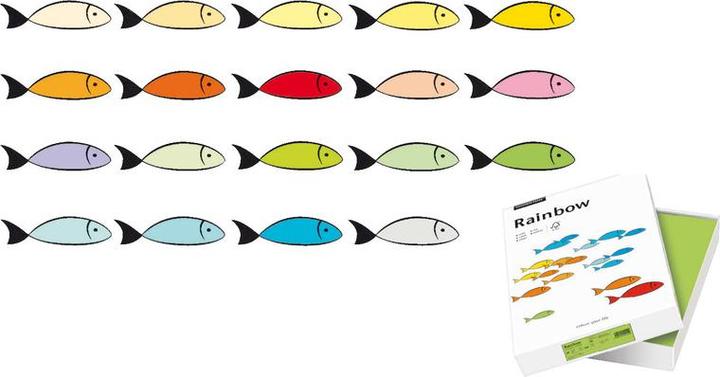 Immagine prodotto Rainbow Carta copiativa colorata A4 (160 g/m², 250 x, A4)
