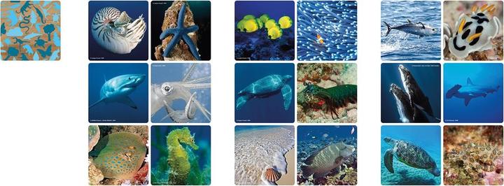 Actual product image Merchant Ambassador Memo underwater (German)