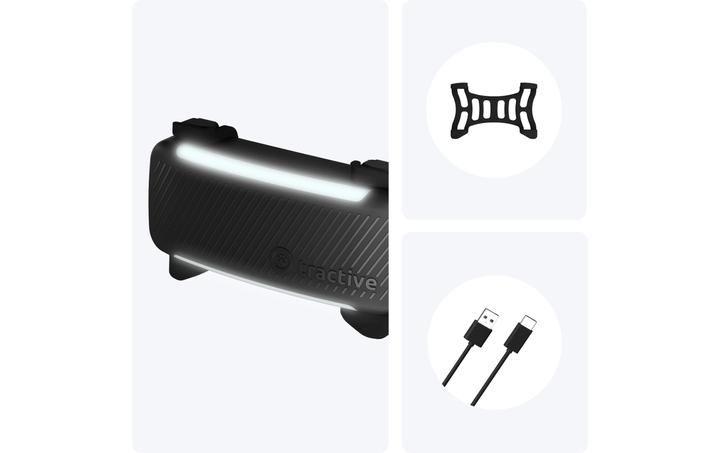Actual product image Tractive GPS Tracker Dog 6 (Dog, Walks)