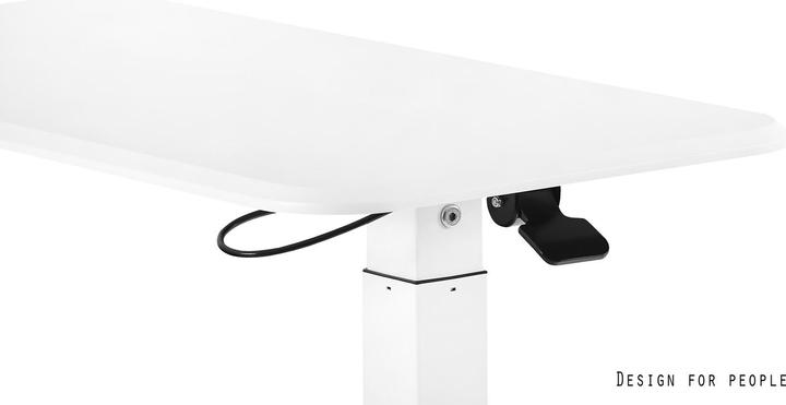 Immagine prodotto Unique Laptop Desk (80 x 40 x 107 cm)