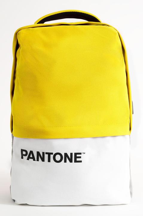 Actual product image Pantone PT-BK102Y 15.6' Notebook Backpack