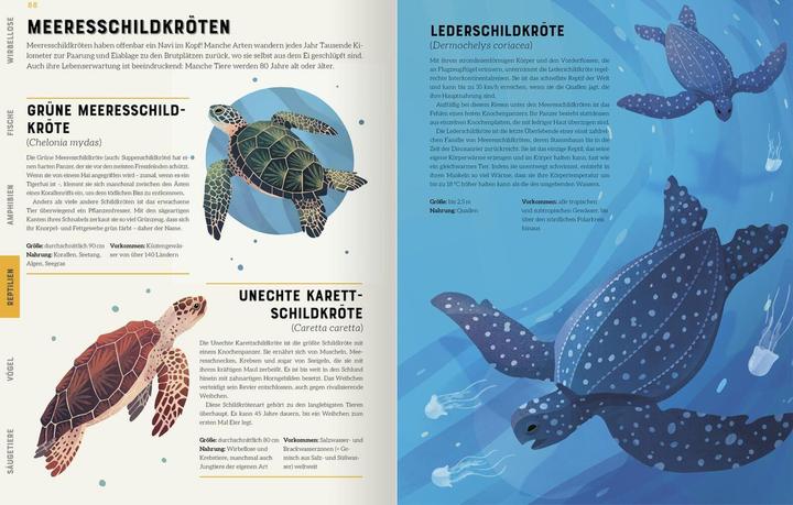 Produktbild Das grosse Lexikon der Tiere (Deutsch, Jules Howard, Andreas Jäger, Jarom Vogel, 2022)