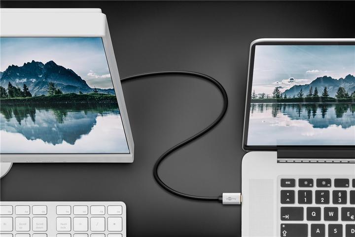 Image du produit Goobay Adaptateur USB-C vers DisplayPort (USB-C, 200 cm)