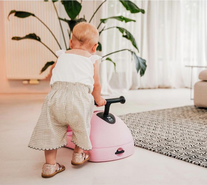 Actual product image Scoot and Ride My First