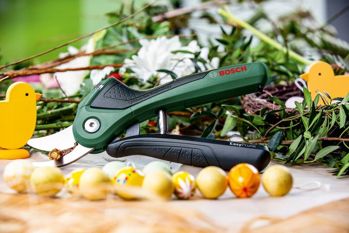 Immagine prodotto Bosch Home & Garden EasyPrune