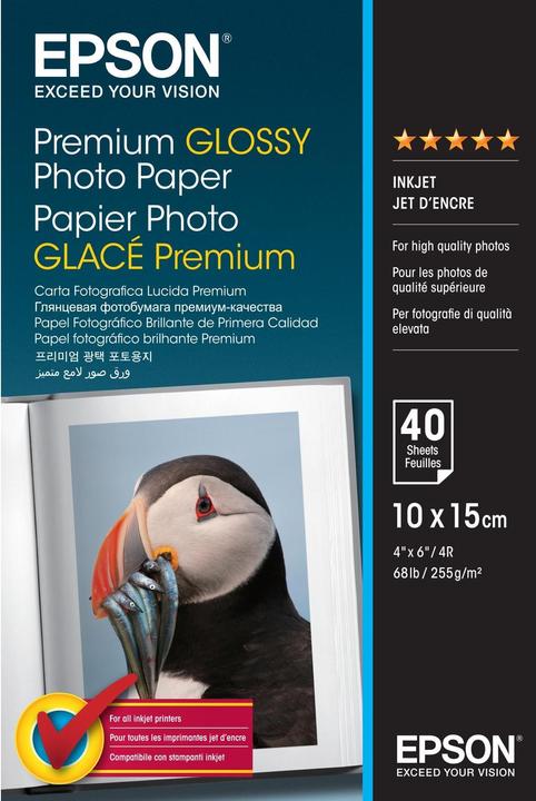 Epson Premium glänzend Foto Papier (255 g/m², 10 x 15 cm, 40 x)