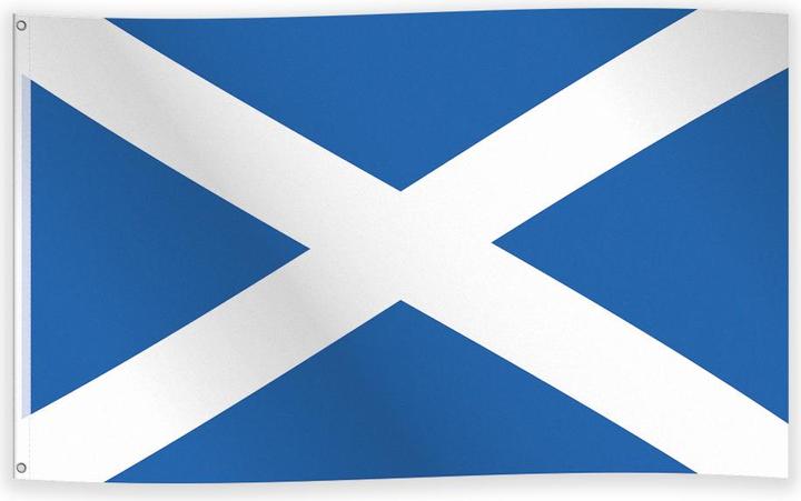 Actual product image Procos Schottland Flagge