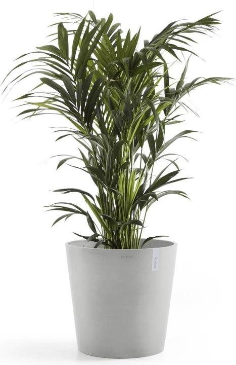 Actual product image Ecopots Amsterdam + Water reservoir (50 cm)