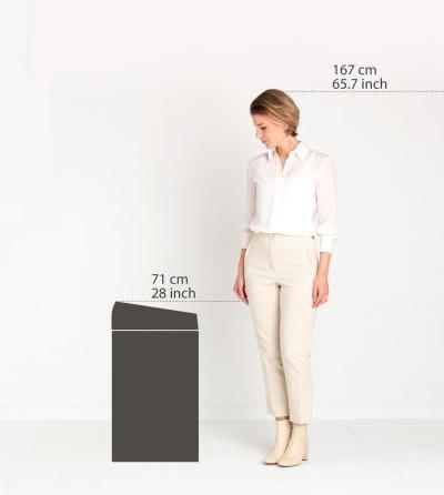 Actual product image Brabantia Touch Bin (60 l)