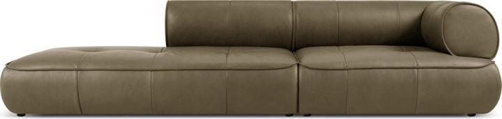 Dark olive green
