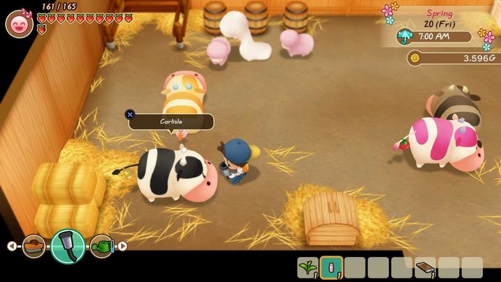 Actual product image Marvelous Story of Seasons : Friends of Mineral Town (Switch, FR)