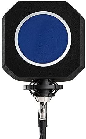 Evieun Acoustic filter for microphones