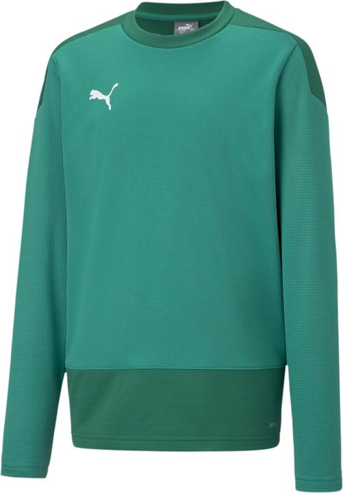 Immagine prodotto Puma TeamGOAL 23 Allenamento Sweat Kids (164)