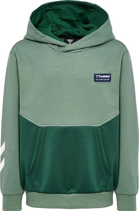 Produktbild hummel hmlEDDY HOODIE (128)