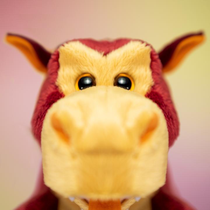 Actual product image Trudi Dragon