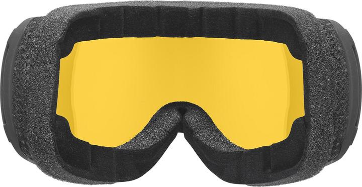 Immagine prodotto Uvex Sports Discesa 2100 CV