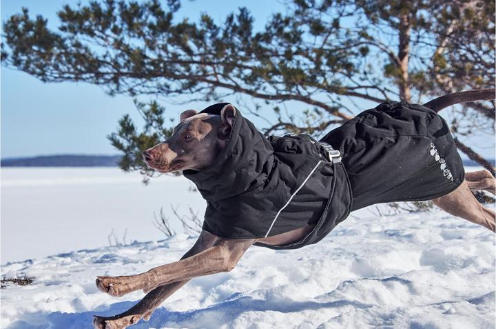 Actual product image Hurtta Extreme Warmer V3 Eco Black, 35 cm (35, Dog coat)