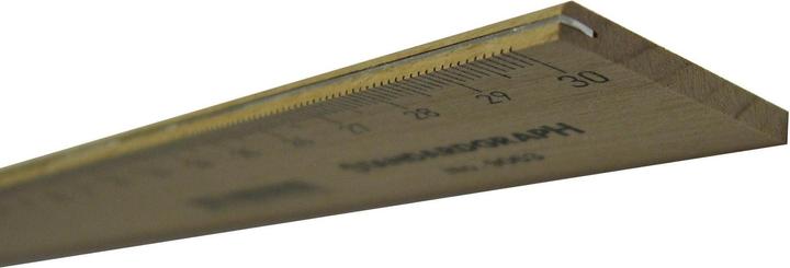 Immagine prodotto Scala Grafico standard (30 cm)