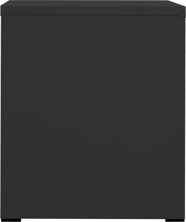 Immagine prodotto VidaXL Aktenschrank (46 x 62 x 72,5 cm)