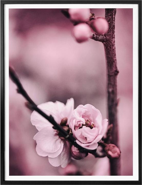 Actual product image Trenddeko Flower buds (40 x 50 cm)