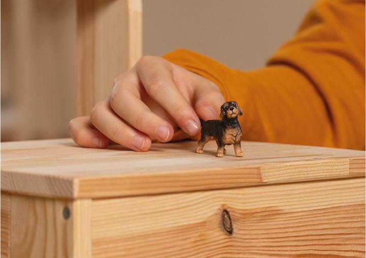 Actual product image Schleich Rough-haired dachshund