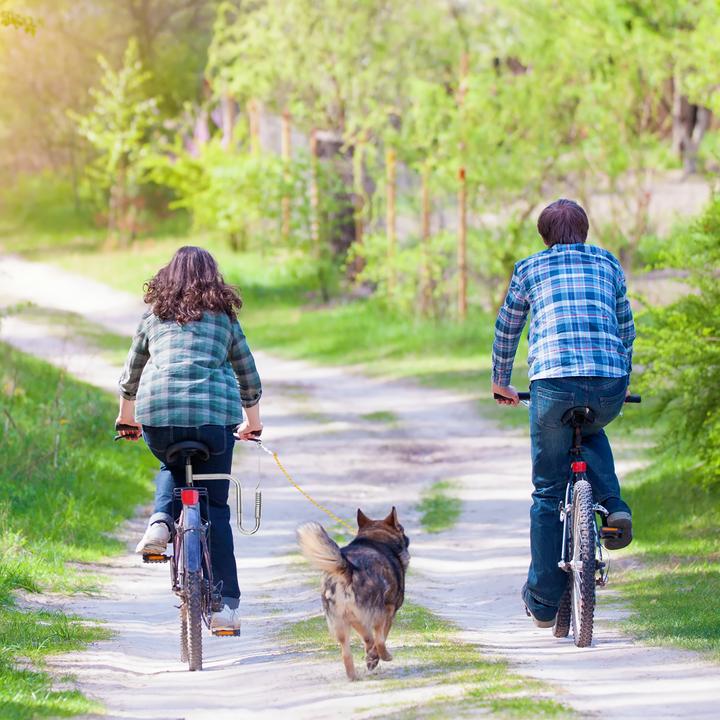 Image du produit Relaxdays Laisse pour vélo (Taille unique, Chien, Vélo)