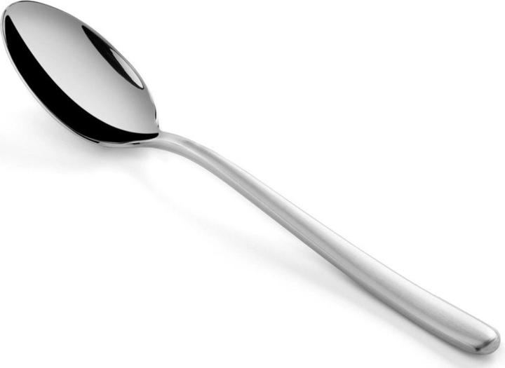 Actual product image Revol Courchevel table spoon stainless steel matt (Cutlery set)