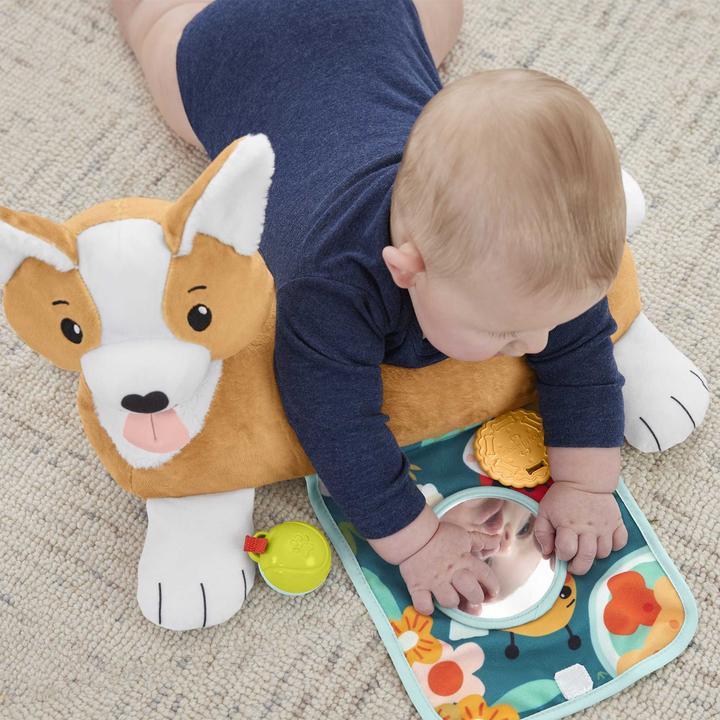 Actual product image Fisher-Price 3-in-1 doggie play cushion (Multilingual)