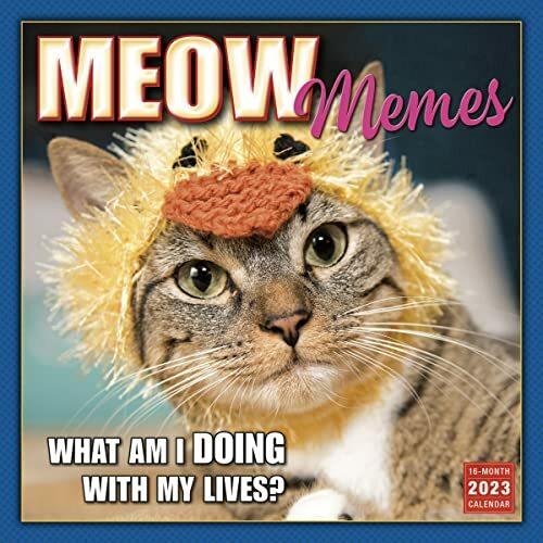 Produktbild Meow Memes September 2022-December 2023 Calendar (Englisch)