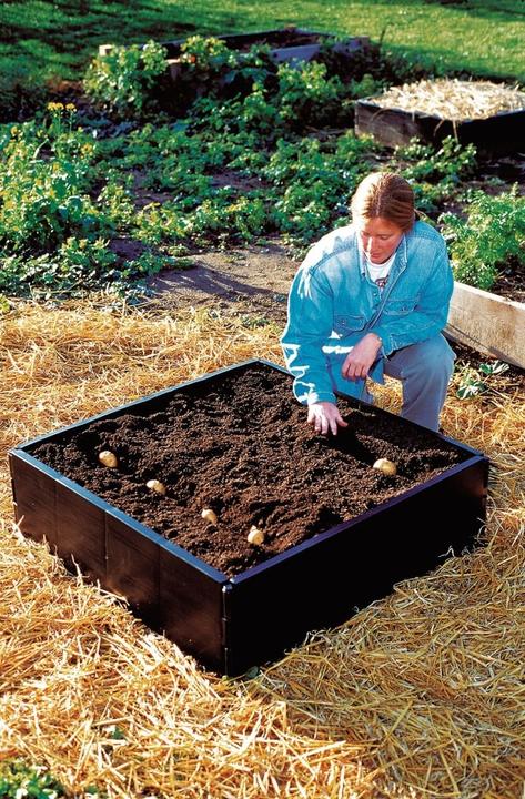Image du produit Garland Grow Bed