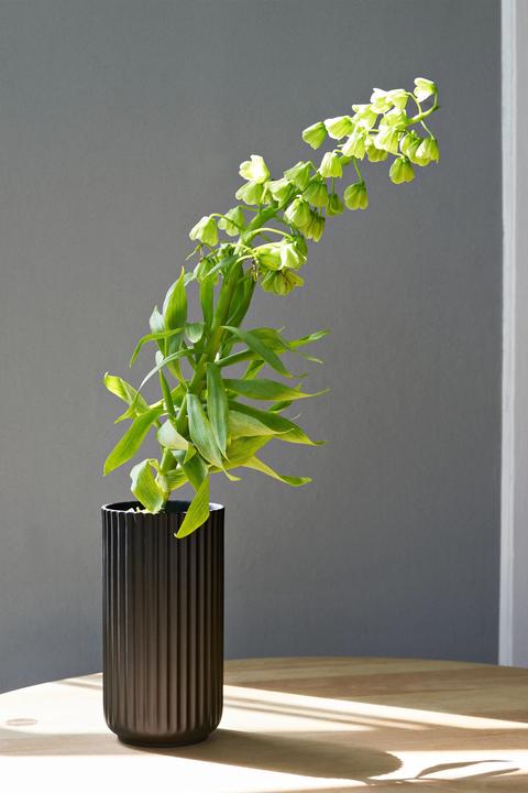 Produktbild Lyngby Vase Schwarz (1 x, Ø 17 x 31 cm)