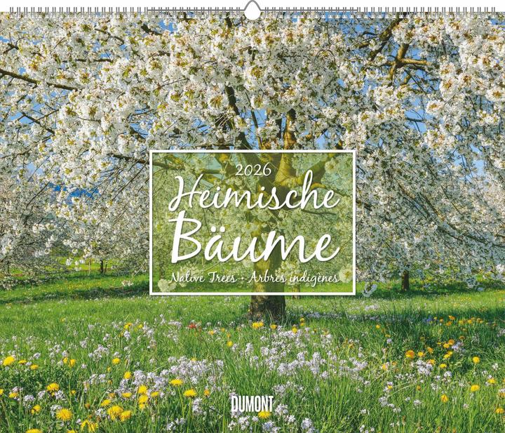 Produktbild Heimische Bäume 2026 – Wandkalender 60x50 cm – Spiralbindung (Französisch, Englisch)