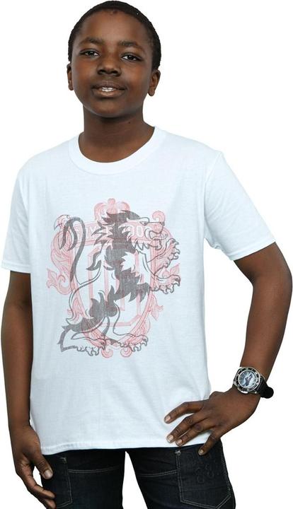 Actual product image Boys Gryffindor Lion Crest T-Shirt (140, 146)