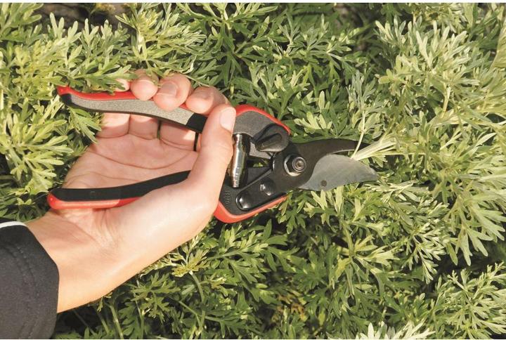 Actual product image Felco Claw shears