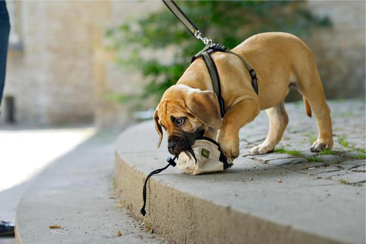 Produktbild Hunter Geschirr NeoprenNylon (S, Hund, Allgemein)