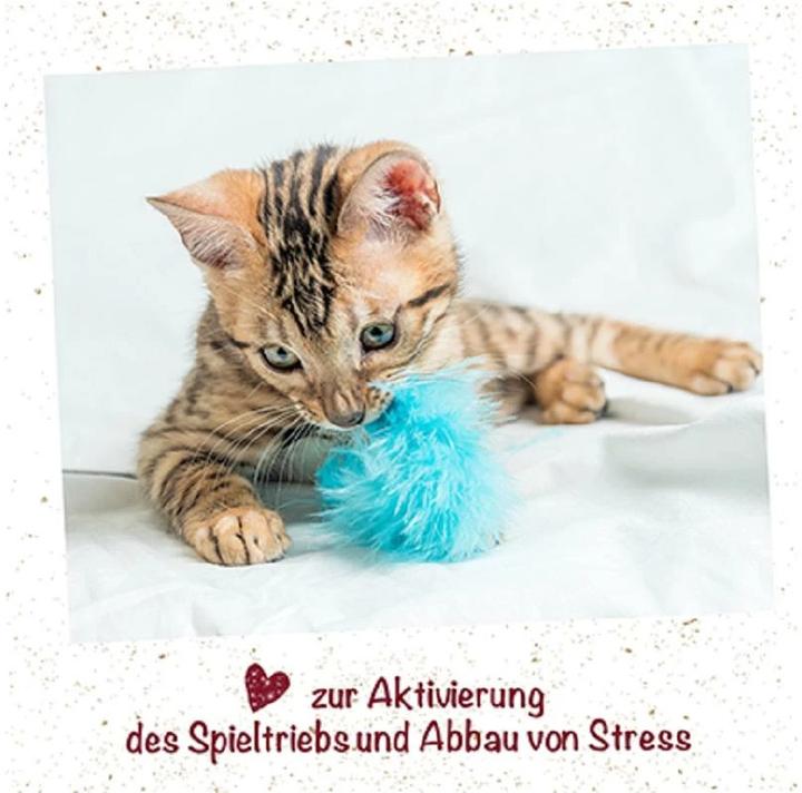 Produktbild cdVet feliTATZ KatzenMinze Spray, 50 ml (Katzenminzespielzeug)