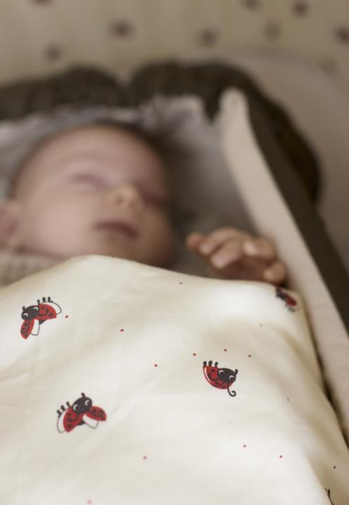 Immagine prodotto Filibabba Biancheria da letto per bambini GOTS (70x100 cm) - Lucky (70 x 100 cm)