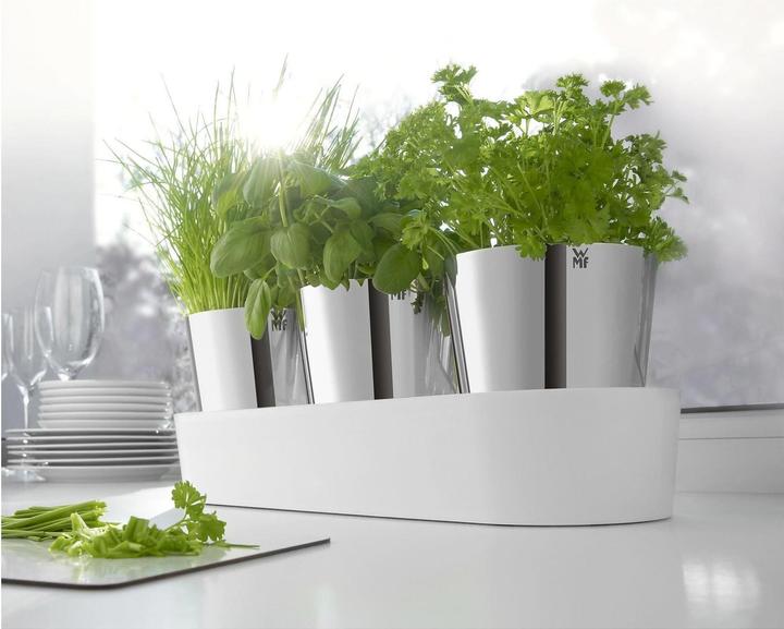 Actual product image WMF herb garden (14 cm)