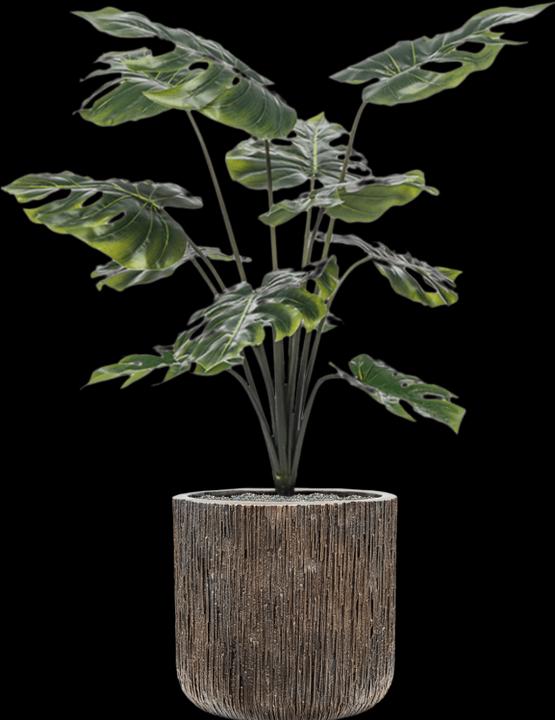 Productafbeelding Emerald Monstera-Pflanze (98 cm)