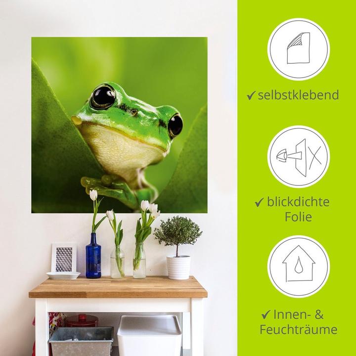 Produktbild Artland Ausspähender Frosch T5VH (50x50 cm)