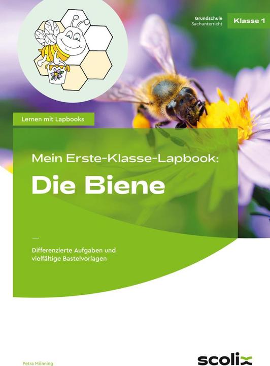 Image du produit Mein Erste-Klasse-Lapbook: Die Biene (Allemand, Petra Mönning, 2021)
