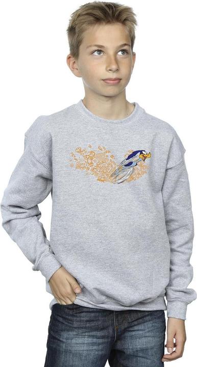 Image du produit Looney Tunes - Sweat ACME DOODLES ROAD RUNNER - Garçon (152, 158)