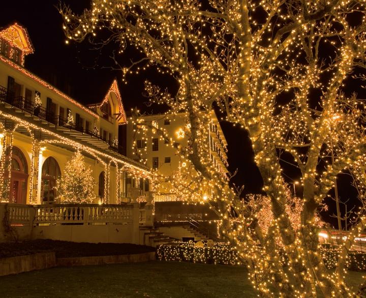 Produktbild STT Tree Light (20 m)