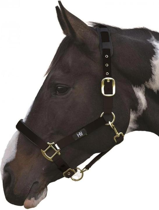 Immagine prodotto Hy Health Hy Deluxe Halter imbottita