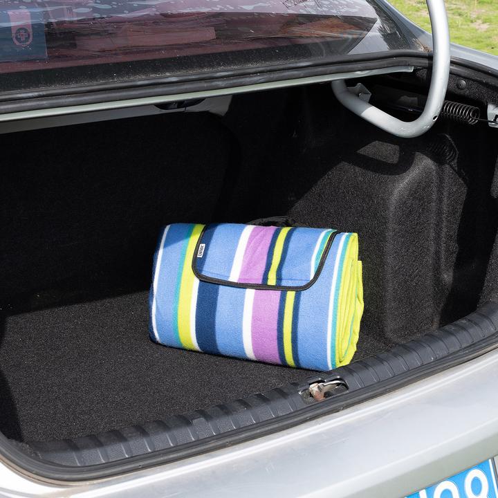 Actual product image Detex Picnic blanket